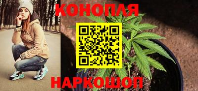 винт Партизанск