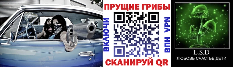 Галлюциногенные грибы Psilocybe  Арзамас 